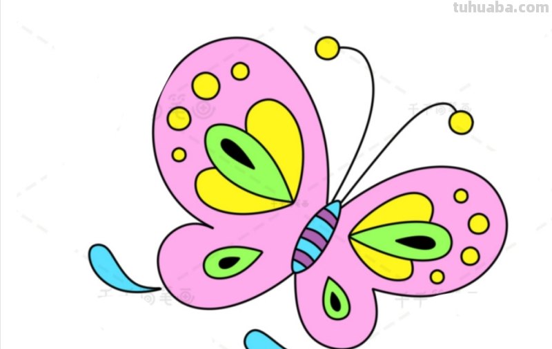 彩铅蝴蝶怎么画(彩铅蝴蝶怎么画漂亮又简单) 彩铅蝴蝶怎么画(彩铅蝴蝶怎么画漂亮又简单)