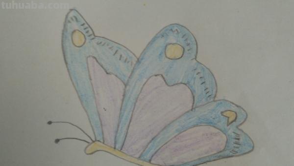 彩铅蝴蝶怎么画(彩铅蝴蝶怎么画漂亮又简单) 彩铅蝴蝶怎么画(彩铅蝴蝶怎么画漂亮又简单)