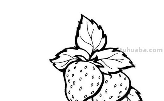 草莓怎么画简笔画（草莓怎么画简笔画图片）