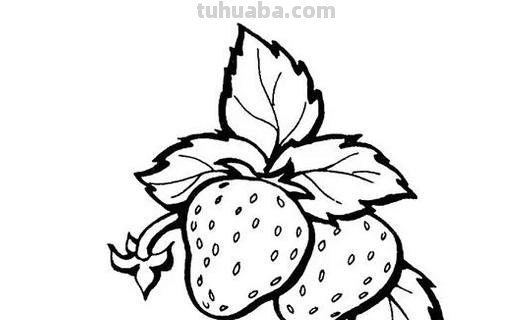 草莓怎么画简笔画（草莓怎么画简笔画图片）