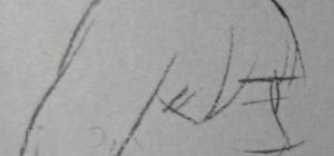 速写头部讲解（速写头部讲解内容详细）