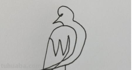 鸟的简笔画怎么画（一群鸟的简笔画怎么画）