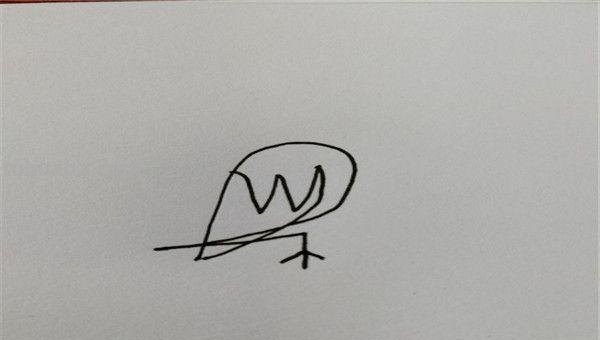 鸟的简笔画怎么画（一群鸟的简笔画怎么画）