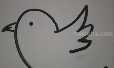 鸟的简笔画怎么画（一群鸟的简笔画怎么画）