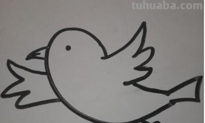鸟的简笔画怎么画（一群鸟的简笔画怎么画）