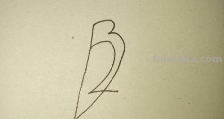 鸟的简笔画怎么画（一群鸟的简笔画怎么画）