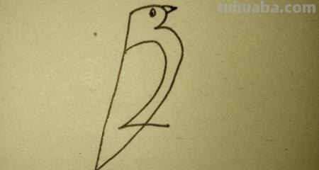 鸟的简笔画怎么画（一群鸟的简笔画怎么画）