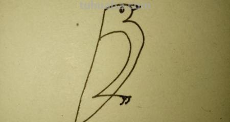 鸟的简笔画怎么画（一群鸟的简笔画怎么画）