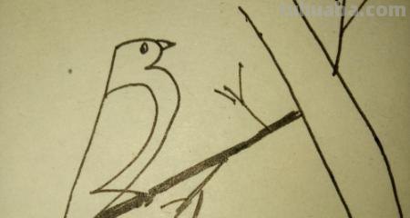 鸟的简笔画怎么画（一群鸟的简笔画怎么画）