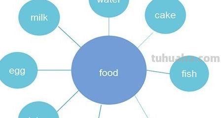 关于英语的思维导图怎么画（关于英语的思维导图怎么画关于四年级下册）