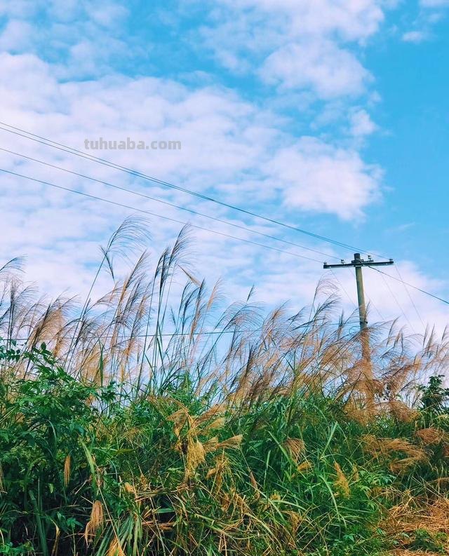 风景速写海边（风景速写海边渔船）