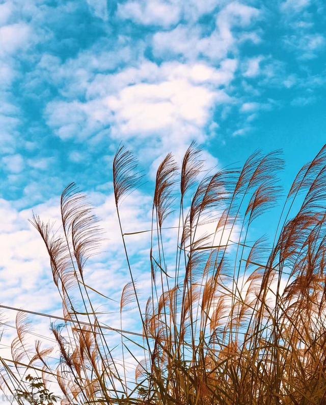 风景速写海边（风景速写海边渔船）