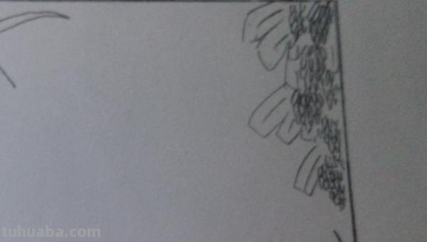 手抄报边怎么画（手抄报边框怎么画）