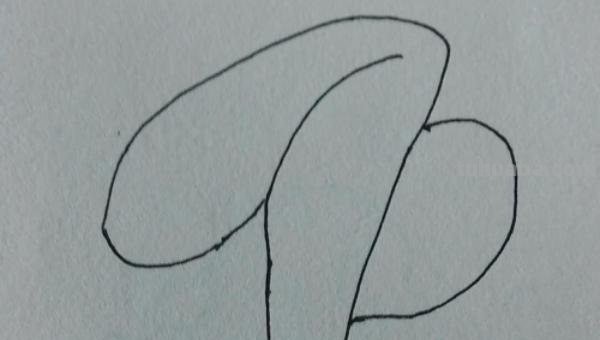 肉怎么画简笔画(红烧肉怎么画简笔画) 肉怎么画简笔画(红烧肉怎么画简笔画)