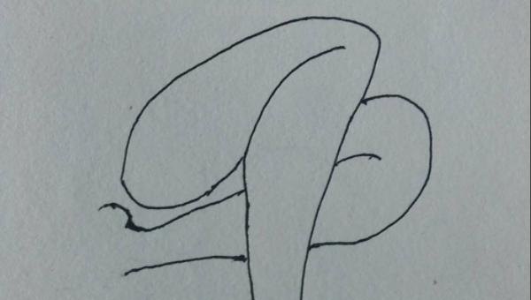 肉怎么画简笔画(红烧肉怎么画简笔画) 肉怎么画简笔画(红烧肉怎么画简笔画)