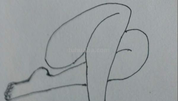 肉怎么画简笔画(红烧肉怎么画简笔画) 肉怎么画简笔画(红烧肉怎么画简笔画)