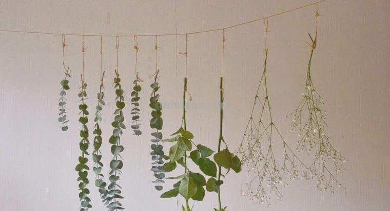 读书卡怎么做干花（读书卡制作花边）