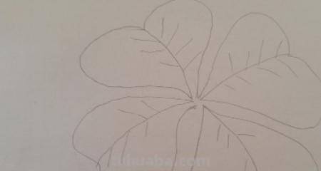 草怎么画简笔画（草莓怎么画简笔画）