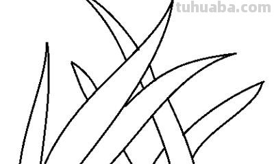 草怎么画简笔画（草莓怎么画简笔画）