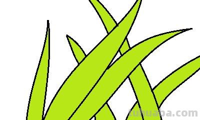 草怎么画简笔画（草莓怎么画简笔画）