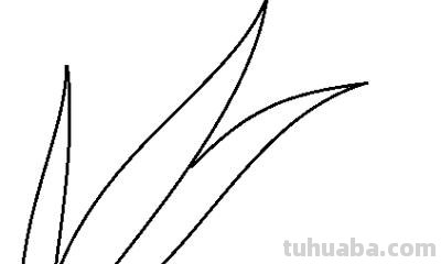 草怎么画简笔画（草莓怎么画简笔画）