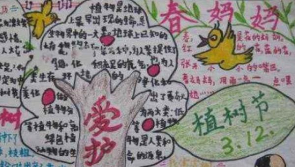 植树节手抄报怎么画(植树节手抄报怎么画简单) 植树节手抄报怎么画(植树节手抄报怎么画简单)