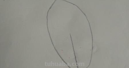 羽毛怎么画彩铅(羽毛怎么画彩铅画) 羽毛怎么画彩铅(羽毛怎么画彩铅画)