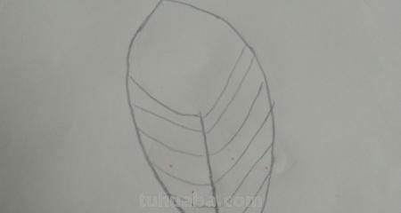 羽毛怎么画彩铅(羽毛怎么画彩铅画) 羽毛怎么画彩铅(羽毛怎么画彩铅画)