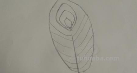 羽毛怎么画彩铅(羽毛怎么画彩铅画) 羽毛怎么画彩铅(羽毛怎么画彩铅画)