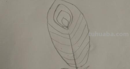 羽毛怎么画彩铅(羽毛怎么画彩铅画) 羽毛怎么画彩铅(羽毛怎么画彩铅画)