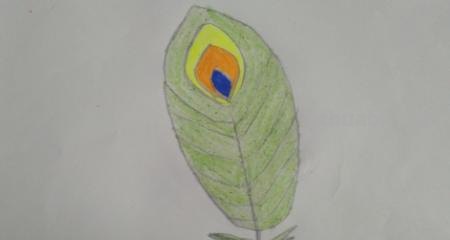 羽毛怎么画彩铅(羽毛怎么画彩铅画) 羽毛怎么画彩铅(羽毛怎么画彩铅画)