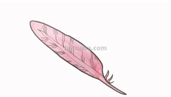 羽毛怎么画彩铅(羽毛怎么画彩铅画) 羽毛怎么画彩铅(羽毛怎么画彩铅画)
