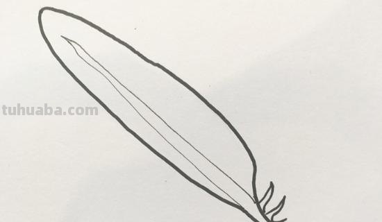 羽毛怎么画彩铅(羽毛怎么画彩铅画) 羽毛怎么画彩铅(羽毛怎么画彩铅画)