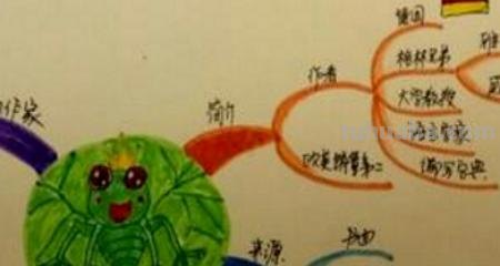 三年级语文思维导图怎么画（小学三年级语文思维导图怎么画）