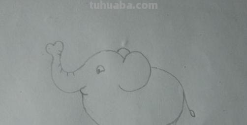 大象怎么画简笔画（大象怎么画简笔画 一步一步）