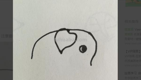 大象怎么画简笔画（大象怎么画简笔画 一步一步）