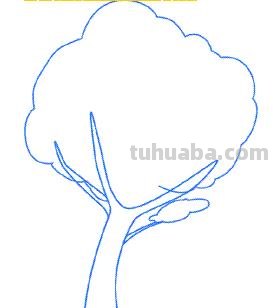 大树怎么画简笔画（大树怎么画简笔画图片）