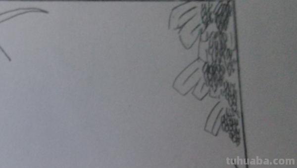 手抄报画框怎么画(手抄报画框怎么画,a4纸,一个) 手抄报画框怎么画(手抄报画框怎么画,a4纸,一个)