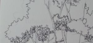 速写常用技法（速写常用技法有哪些）