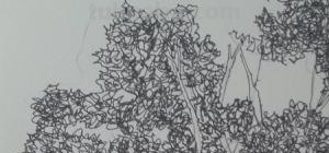 速写常用技法（速写常用技法有哪些）