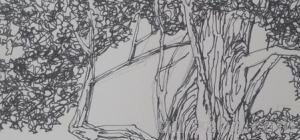 速写常用技法（速写常用技法有哪些）