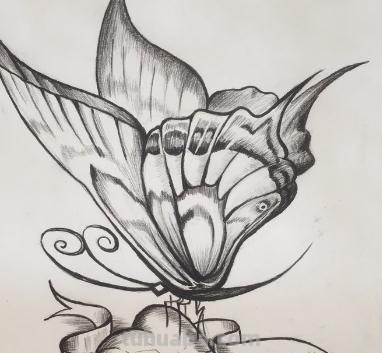 怎么画彩铅蝴蝶（怎么画彩铅蝴蝶图片）