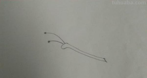 怎么画彩铅蝴蝶（怎么画彩铅蝴蝶图片）