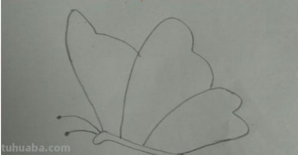 怎么画彩铅蝴蝶（怎么画彩铅蝴蝶图片）