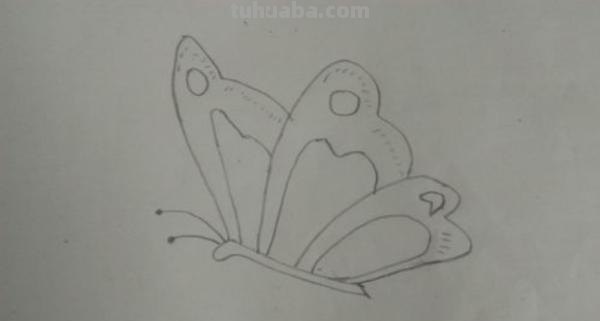 怎么画彩铅蝴蝶（怎么画彩铅蝴蝶图片）