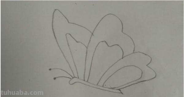 怎么画彩铅蝴蝶（怎么画彩铅蝴蝶图片）