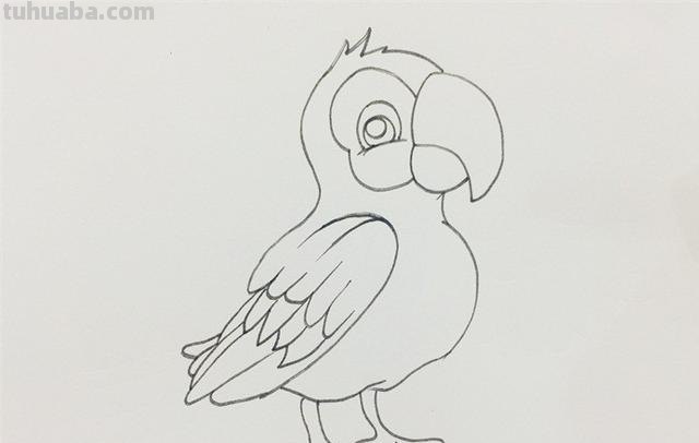 怎么画鹦鹉彩铅（怎么画鹦鹉彩铅画）