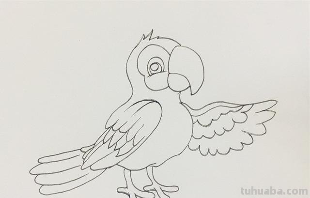 怎么画鹦鹉彩铅（怎么画鹦鹉彩铅画）