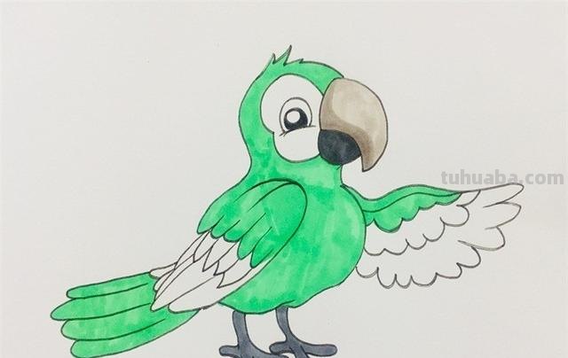 怎么画鹦鹉彩铅（怎么画鹦鹉彩铅画）