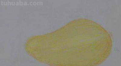 彩铅开始画什么（彩铅开始画什么画）